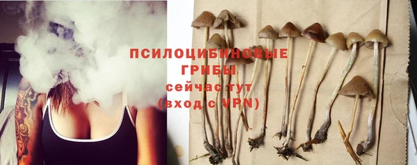 спайс Беломорск
