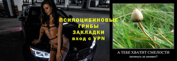 тгк Белокуриха